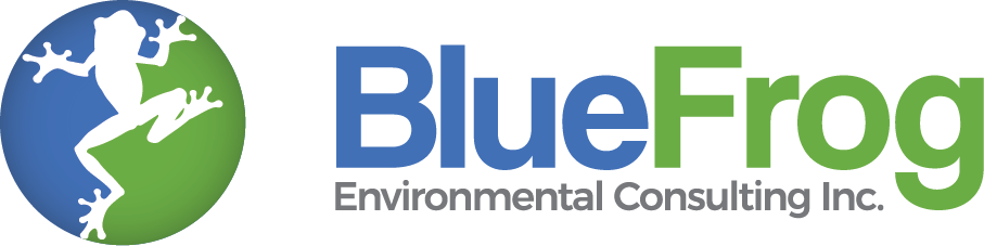 BlueFrog_Environmental_Consulting_Logo_Final